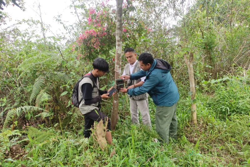 Pemasangan Kamera Jebak Setelah Beruang Masuk Pemukiman Warga