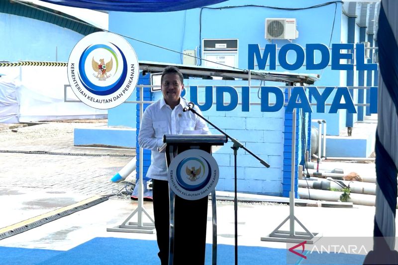 Potensi Budi Daya Lobster di Batam Capai Rp48 Miliar per Tahun