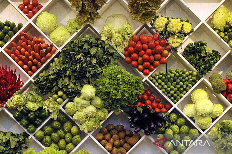 Ilustrasi - Deretan buah dan sayuran segar. ANTARA FOTO/Puspa Perwitasari/nz/aa. (ANTARA FOTO/puspaperwitasari)