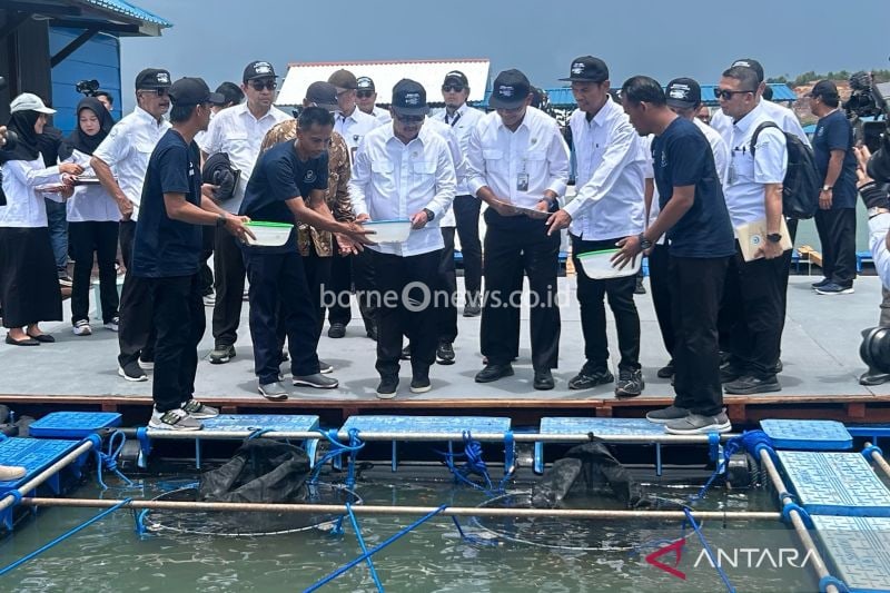 Potensi Budidaya Ikan Marlin dan Kakap di Kepulauan Riau