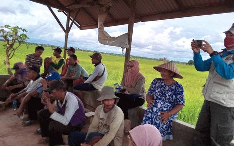 BPS Rekam Kenaikan Terjadi pada Indeks Konsumsi Rumah Tangga di Kalteng