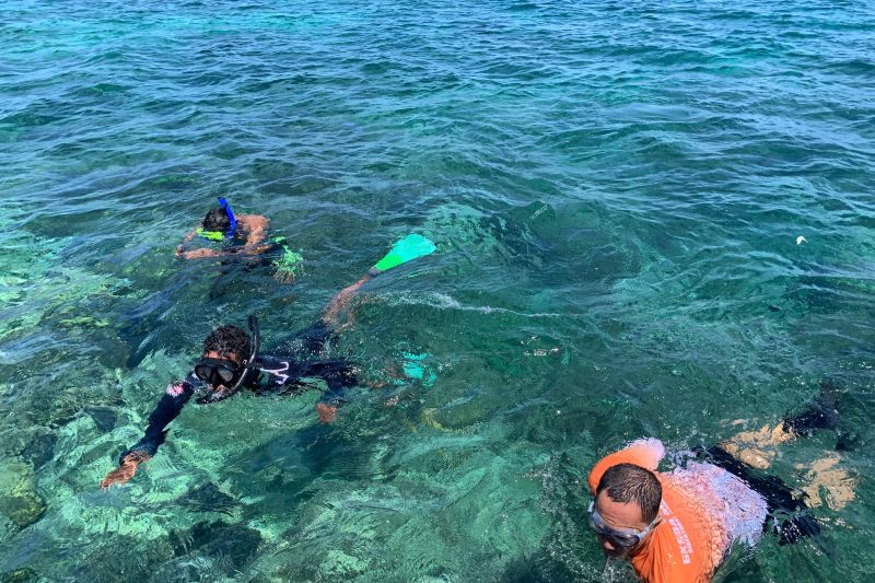 BKSDA Maluku Intensifkan Survei untuk Lindungi Sumber Daya Alam