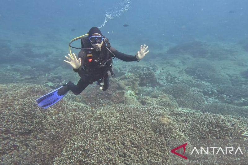 Nusa Penida dan Gili Matra Resmi Menjadi Kawasan Laut Sensitif