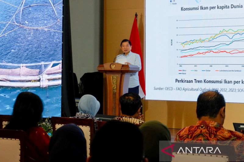 Perhatian Kementerian Diperlukan untuk Sektor Perikanan Indonesia