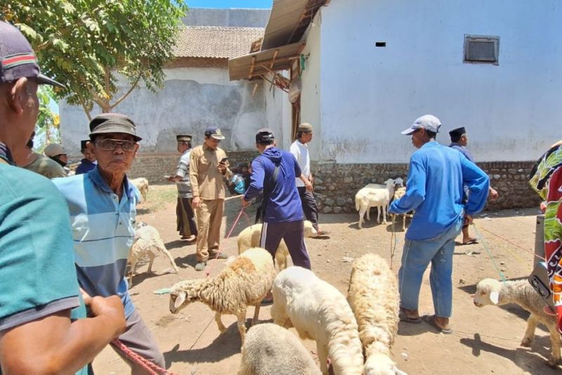 Pemkab Probolinggo Lakukan Pengawasan Produk Hewan di Pasar Tradisional