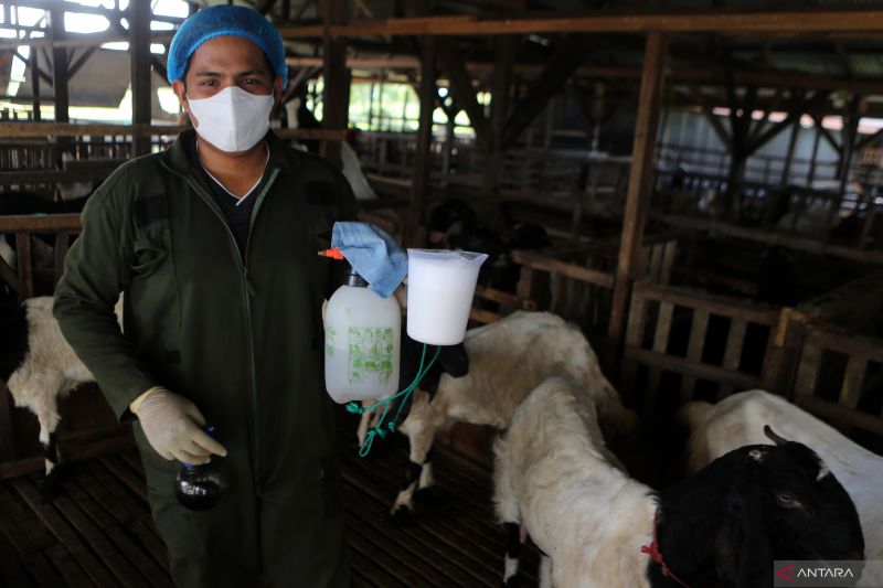 Nutrisi Susu Pertumbuhan untuk Atasi Masalah Gizi Anak