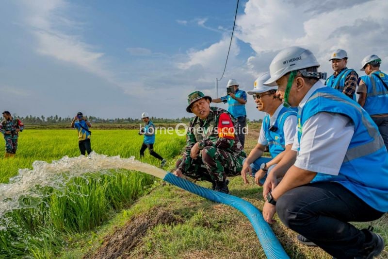 PLN Sediakan Listrik untuk Dukungan Lumbung Pangan Merauke