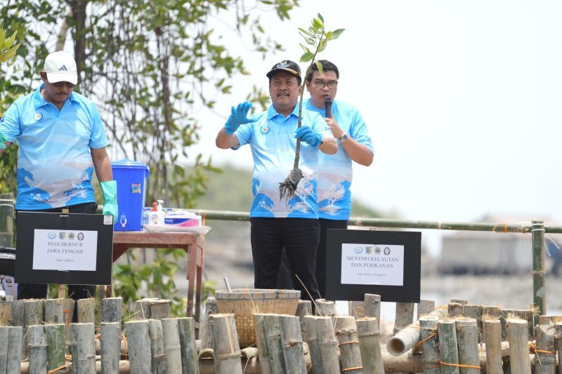 Pengelolaan Sedimentasi Morodemak, Solusi untuk Ekosistem dan Ekonomi