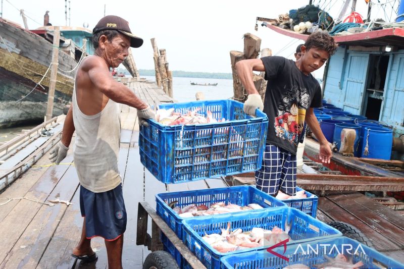 KKP Buka 30 Gerai Perizinan untuk Tingkatkan Sektor Perikanan