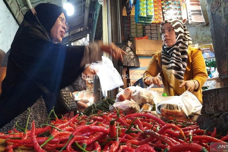 Pemkot Pariaman Bagikan Bibit Cabai untuk Antisipasi Inflasi