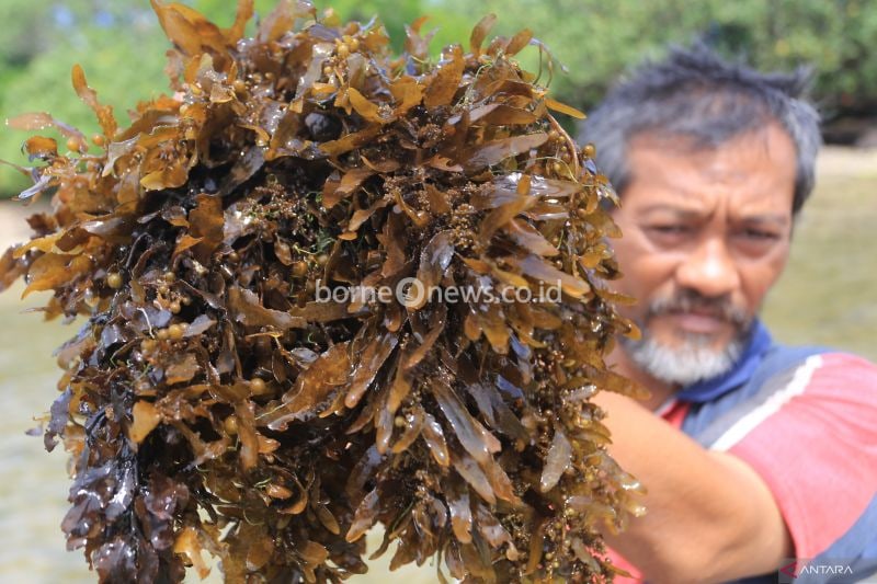 Dua Strategi Penting Dorong Pertumbuhan Ekonomi Indonesia 8 Persen