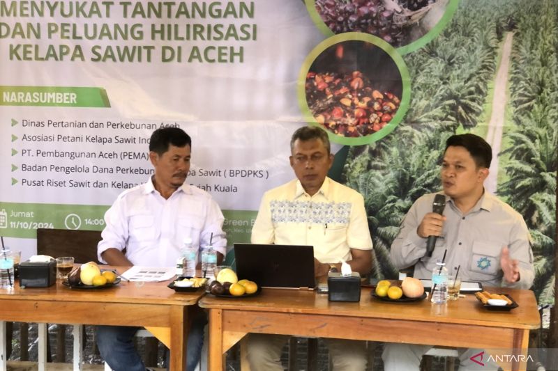 Pembangunan Aceh Siap Ekspor Cangkang Sawit ke Jepang 2025