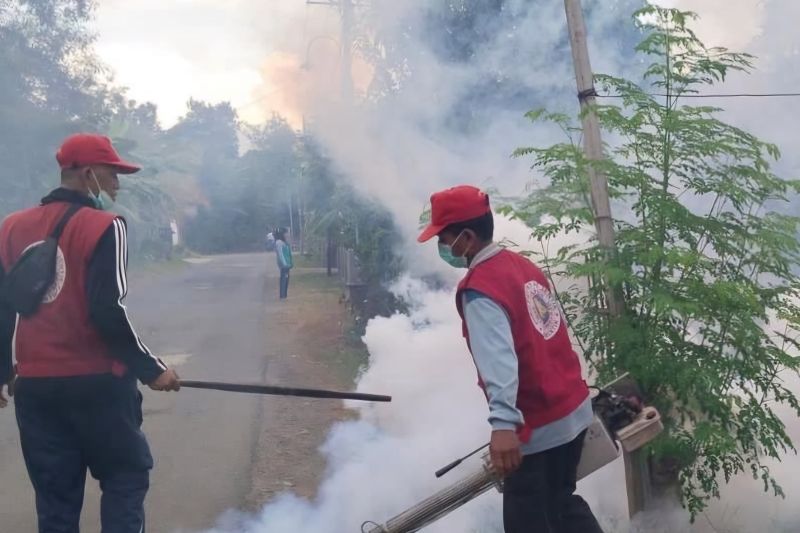 Trenggalek Tingkatkan Mitigasi Wabah Demam Berdarah di Musim Hujan