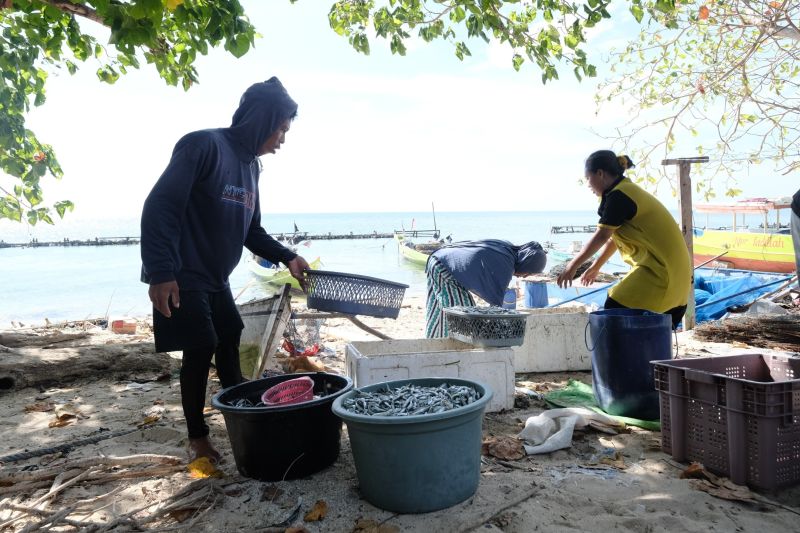 PLN Hadirkan Energi Bersih 24 Jam untuk Masyarakat Pangkep