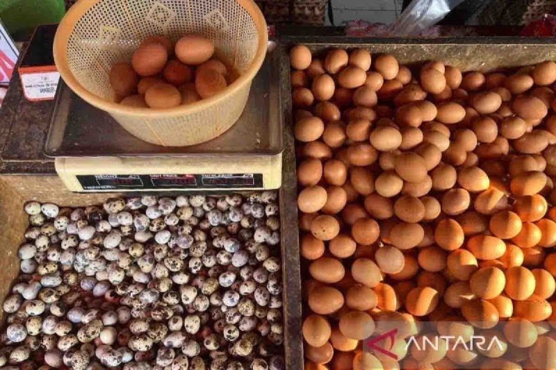 Kenaikan Harga Pangan Sabtu, Telur Ayam Capai Rp29.190 per kg