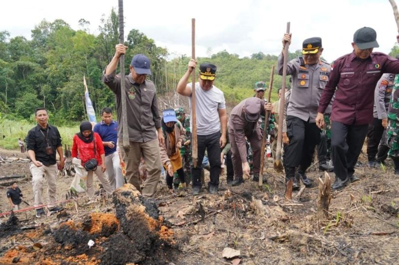 Gubernur Kalteng Pimpin Penanaman Perdana Padi Gogo di Murung Raya