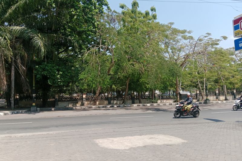 Suhu Udara NTB Capai 37 Derajat, Waspada Badai Matahari
