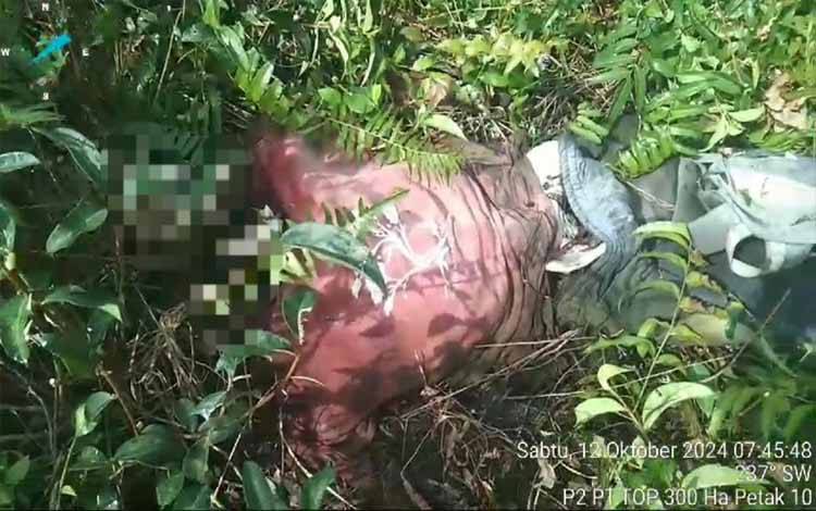 Diduga Tengkorak Mahasiswa Unlam Ditemukan di Sei Ahas Kapuas