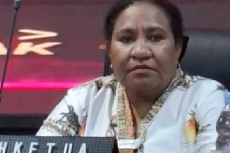 Kenaikan DPT di Papua Didominasi Oleh Pemilih Pemula