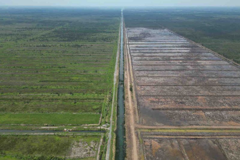 Dukungan Ombudsman untuk Cetak Sawah dan Penguatan Irigasi