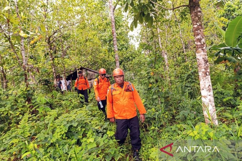 Tim SAR Temukan Jenazah Nenek Pencari Cengkih di Ambon