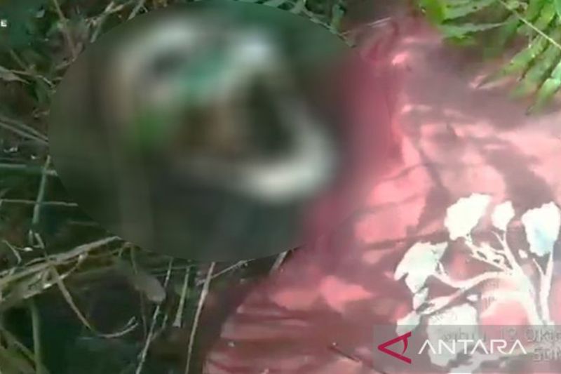 Tengkorak Mahasiswa Hilang Ditemukan di Hutan Kapuas, Kalimantan Tengah