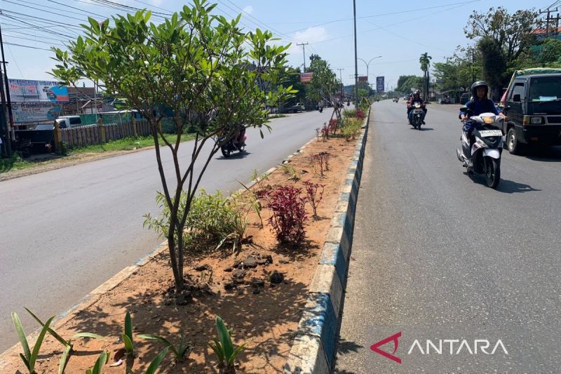 DLH Kota Bengkulu Siapkan 1.500 Bunga untuk Media Jalan