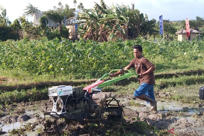 Inovasi Pertanian Bertenaga Listrik Ciptakan Lingkungan Lebih Bersih