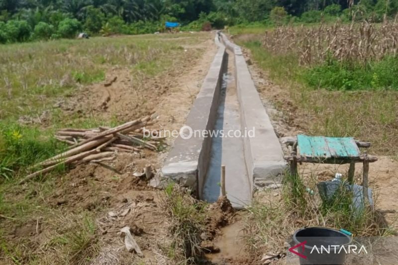 Penyerapan DAK Fisik Pertanian di Mukomuko Masih Rendah