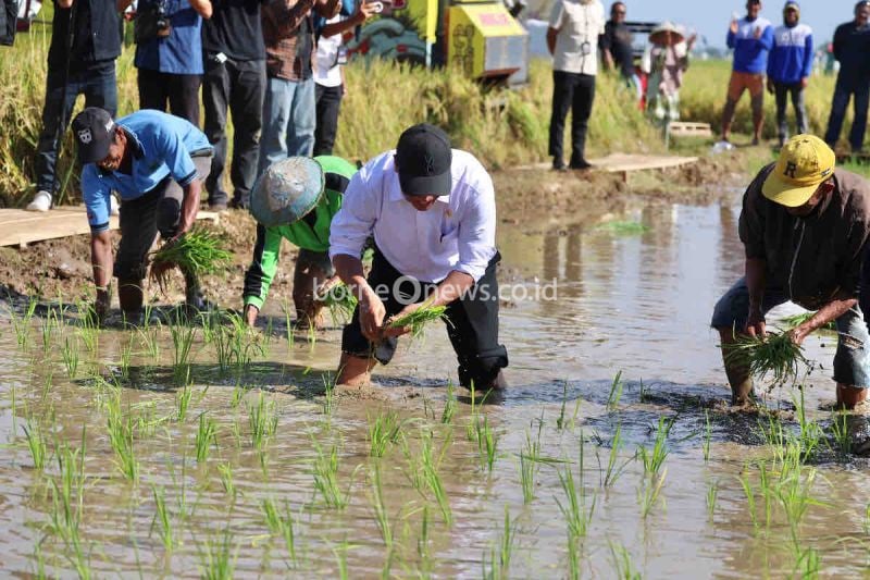 Gowa Siap Capai Swasembada Pangan Beras dalam Tiga Tahun