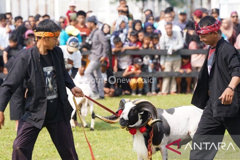Festival Ternak Domba-Kambing, Mendorong Ekonomi dan Budaya Bogor