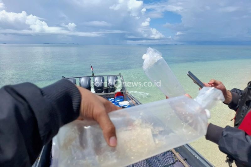 Bea Cukai Gagalkan Penyelundupan Benih Lobster Senilai Rp26,9 Miliar