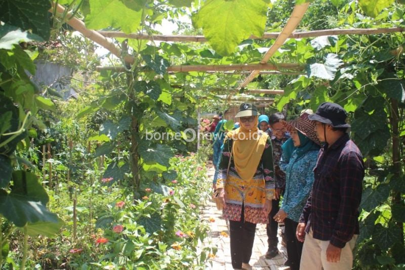 Pemerintah Probolinggo Dorong Kemandirian Pangan Melalui P2L