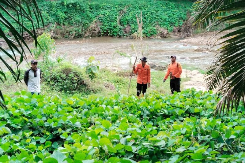 Tim SAR Gabungan Temukan Pria Hilang Selama Tiga Hari di Hutan