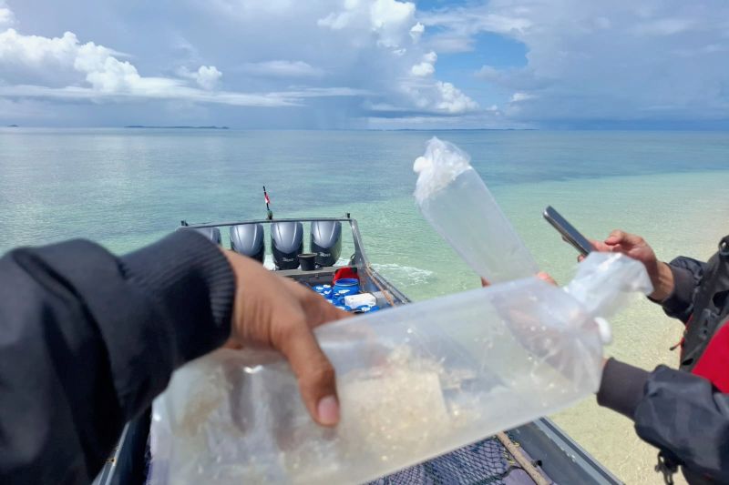 Bea Cukai Batam Gagalkan Penyelundupan 266.600 Baby Lobster