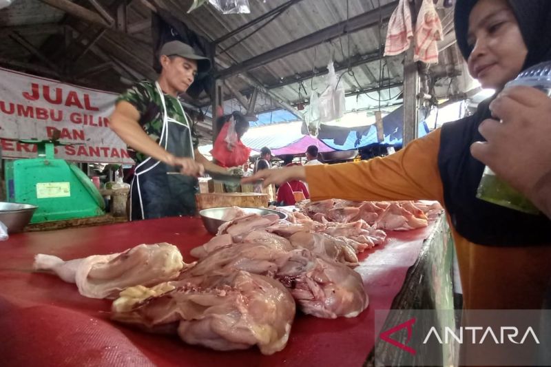 Pangkalpinang Tambah Pasokan 2.000 Ton Daging Sapi Beku
