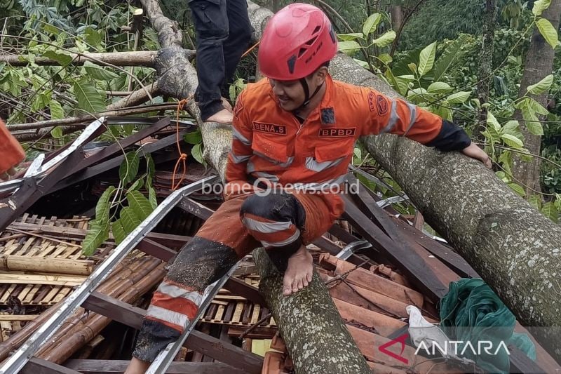 BPBD Bogor Tangani 11 Kejadian Bencana Akibat Cuaca Ekstrem
