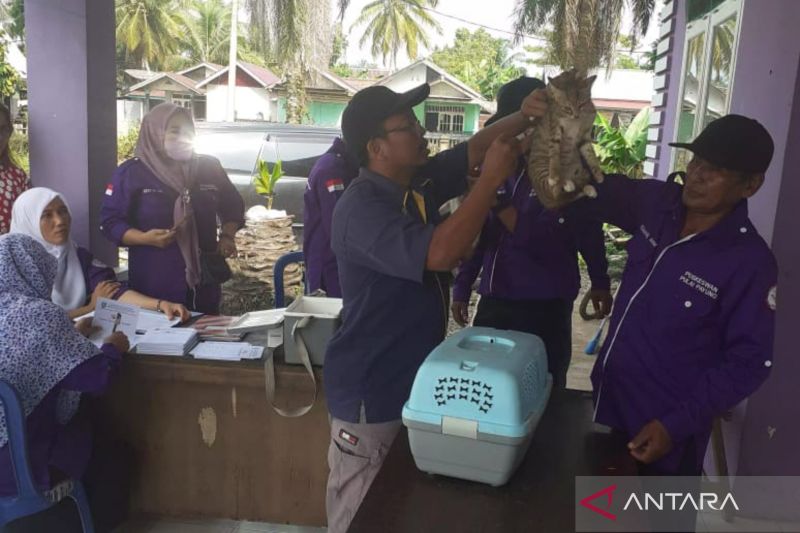 Kasus Gigitan Hewan Penular Rabies di Mukomuko Meningkat Jadi 83