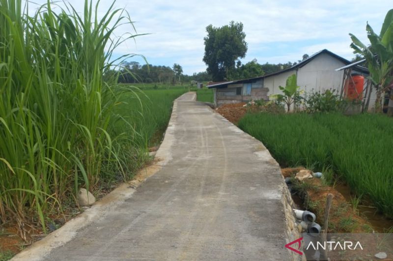 Dinas Pertanian Mukomuko Cek Pembangunan Jalan Usaha Tani