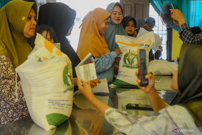 Harga Beras Medium di Lebak Stabil, Pasokan Lokal Melimpah