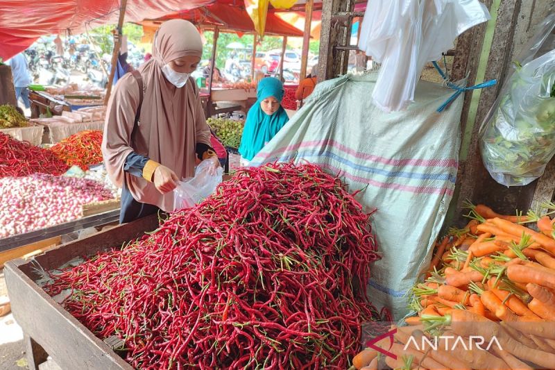 Harga Cabai Merah Turun Signifikan di Kota Bengkulu hingga Rp20 Ribu per Kg