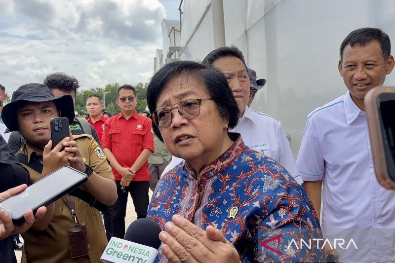Kalimantan Selatan Jadi Model Rehabilitasi Hutan dan Lahan