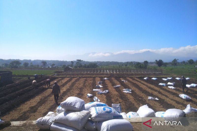 Dinas Pertanian Garut Salurkan 325 Ton Benih Padi untuk Petani