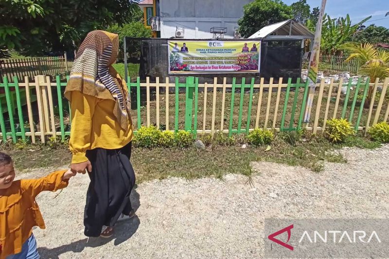 Pemkab Parigi Moutong Tingkatkan Ketahanan Pangan Keluarga dengan Tanaman Produktif