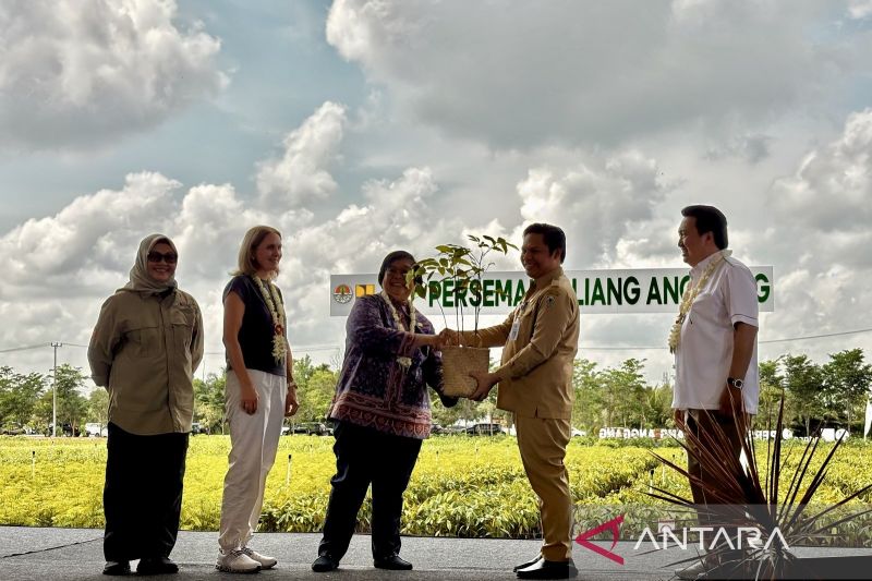 Global Dukung Upaya Indonesia Tekan Deforestasi dengan Dana Kreatif