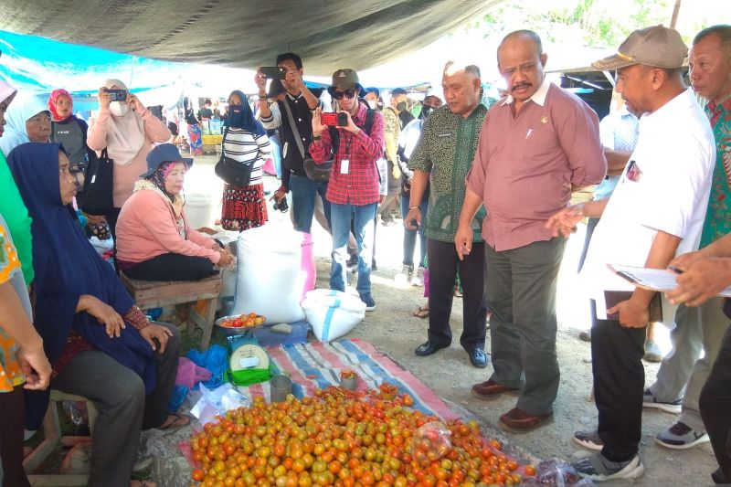 Kenaikan Harga Minyak Goreng dan Komoditas Lain di Sigi