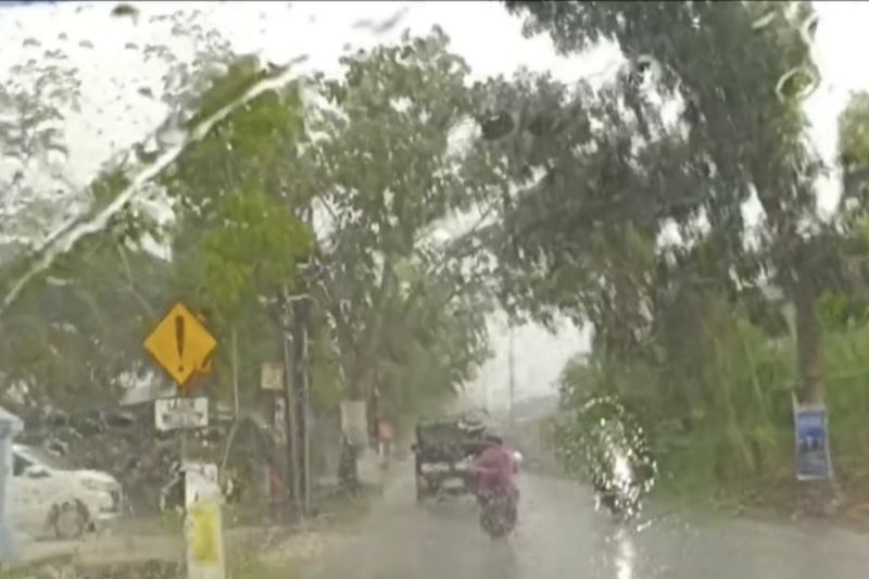 Waspada Cuaca Ekstrem, BPBD Pekanbaru Imbau Masyarakat Hati-hati