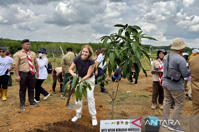 Kalsel Dapat Dukungan Norwegia untuk Kesuksesan FOLU Net Sink 2030