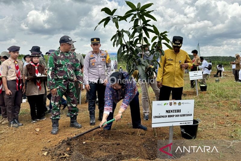 Kalimantan Selatan Mulai Program FOLU Net Sink 2030 untuk Lingkungan
