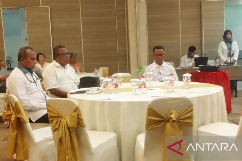 Ombudsman Maluku Dorong Pemerintah Daerah Siapkan Layanan Dasar